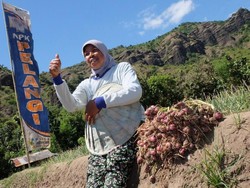 Produktivitas Bawang Merah dan Padi Digenjot, Ini Caranya