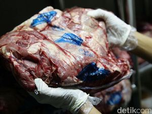 Mendag Keluarkan Izin Impor Daging-Bawang Putih Mendag Keluarkan Izin Impor Daging-Bawang Putih