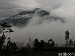 Jalur Rusak Parah, Pendakian Gunung Merbabu Ditutup Sebulan