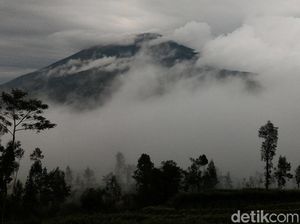 Jalur Rusak Parah, Pendakian Gunung Merbabu Ditutup Sebulan Jalur Rusak Parah, Pendakian Gunung Merbabu Ditutup Sebulan
