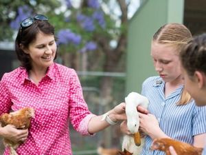 Sekolah Indonesia Seharusnya Miliki Kurikulum Pertanian Seperti di Australia Sekolah Indonesia Seharusnya Miliki Kurikulum Pertanian Seperti di Australia