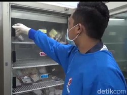 Stok Darah di PMI Sultra Menipis