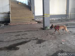 Anjing Pelacak Dikerahkan Cari Petunjuk Baru Mutilasi Pasar Besar Malang