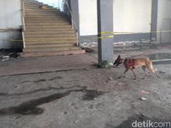 Anjing Pelacak Dikerahkan Cari Petunjuk Baru Mutilasi Pasar Besar Malang
