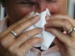 Sudah 25 Orang Meninggal Akibat Flu di Queensland
