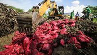 70 Ton Bawang Merah Ilegal Dimusnahkan di Aceh