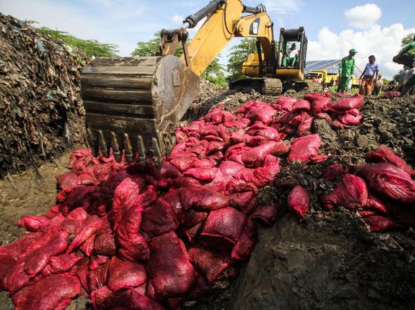 70 Ton Bawang Merah Ilegal Dimusnahkan di Aceh