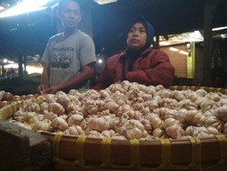 Harga Bawang Putih di Garut Mulai Turun ke Rp 35.000/Kg