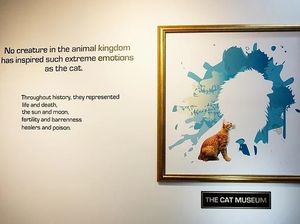 Foto: Museum Kucing Ala Singapura