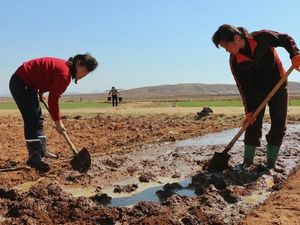 Kekeringan yang Melanda Korea Utara Terburuk Selama Hampir 40 Tahun