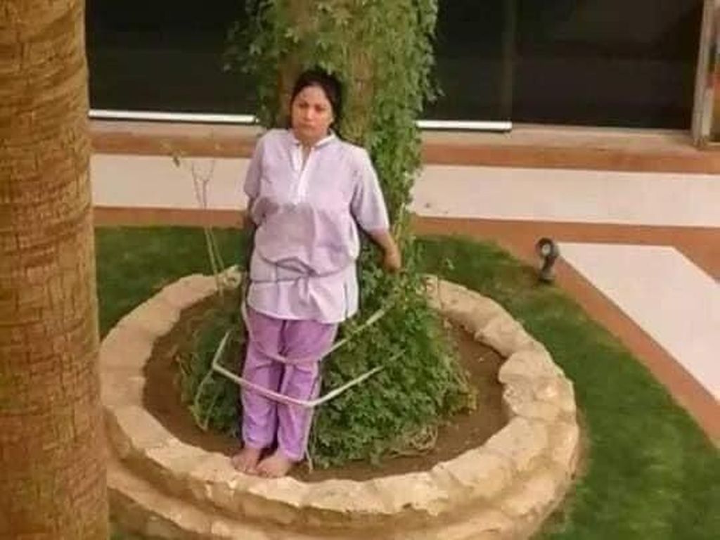 Viral, Keluarga Kaya di Arab Hukum ART dengan Mengikatnya di Pohon Viral, Keluarga Kaya di Arab Hukum ART dengan Mengikatnya di Pohon