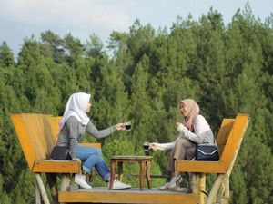 Hutan Pinus di Magelang yang Sejuk dan Asyik Buat Foto-foto