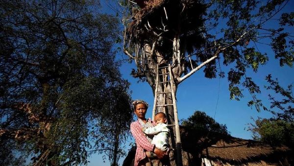 Potret Rumah Pohon Myanmar untuk Berlindung dari Gajah