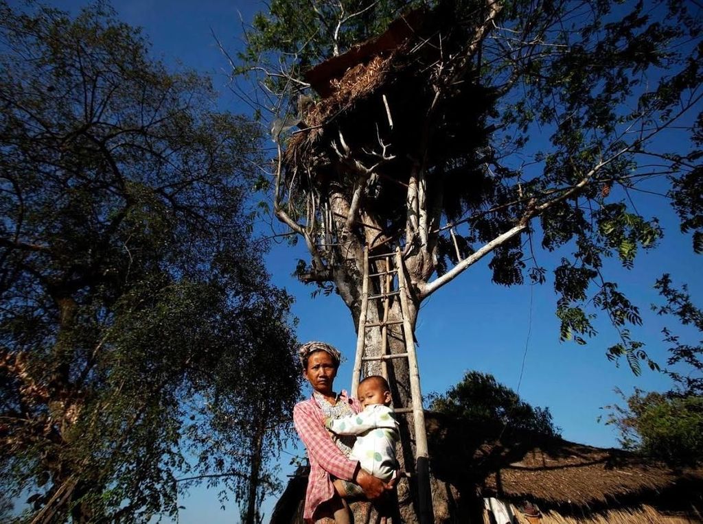 Potret Rumah Pohon Myanmar untuk Berlindung dari Gajah