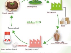 Kata Ahli Soal Mempertahankan Ketahanan Pangan
