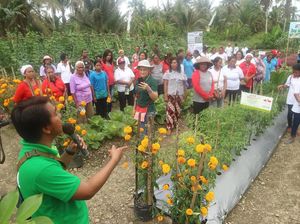Pembinaan Petani Wanita untuk Nutrisi Keluarga