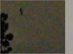 Heboh! Penampakan Sesosok Hitam Terbang di Langit Amerika Serikat