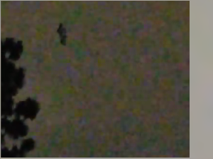 Heboh! Penampakan Sesosok Hitam Terbang di Langit Amerika Serikat Heboh! Penampakan Sesosok Hitam Terbang di Langit Amerika Serikat
