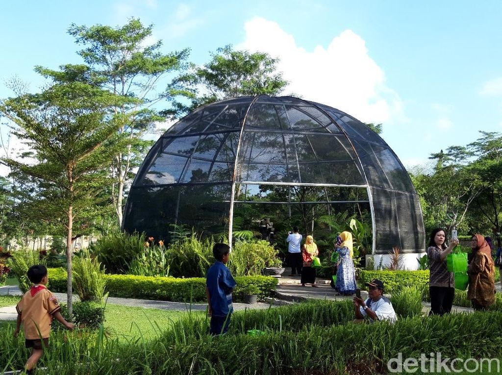 Liburan ke Kebun Raya Indrokilo di Boyolali, Tiketnya Masih Gratis Liburan ke Kebun Raya Indrokilo di Boyolali, Tiketnya Masih Gratis