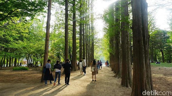 Foto: Negara Dalam Negara di Korea Selatan