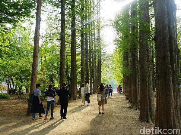Foto: Negara Dalam Negara di Korea Selatan