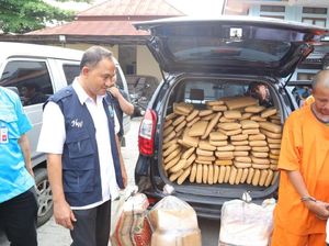 BNN Sita 300 Kg Ganja dari Mobil Boks Limbah B3 di Cilegon