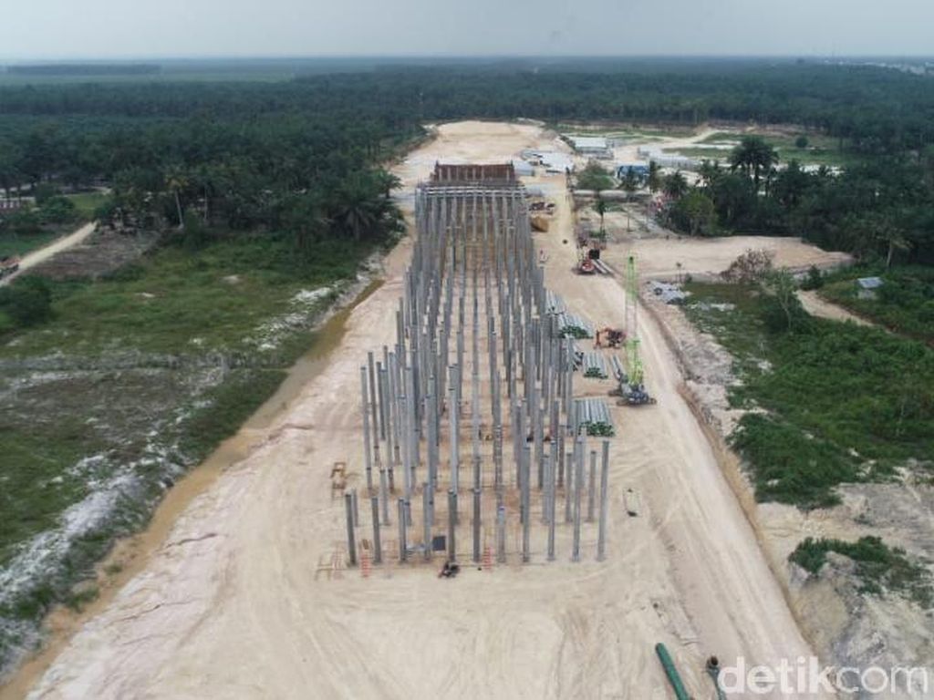 Underpass Khusus Gajah di Tol Pekanbaru-Dumai Bisa Dilintasi 100 Gajah Underpass Khusus Gajah di Tol Pekanbaru-Dumai Bisa Dilintasi 100 Gajah