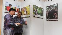 Laporan Restorasi Ekosistem Riau