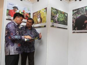 Laporan Restorasi Ekosistem Riau