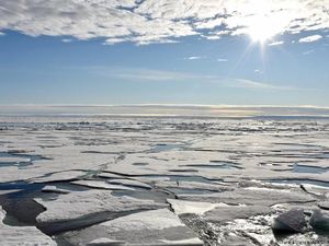 Musim Panas yang Dingin