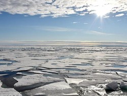 Musim Panas yang Dingin