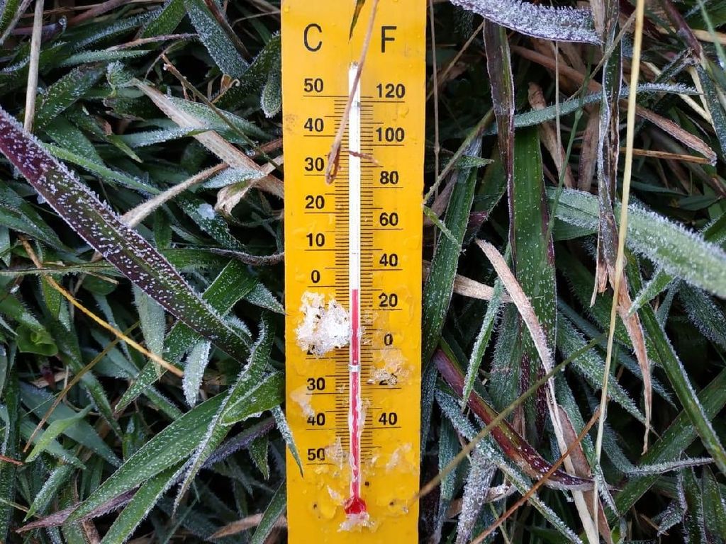 Suhu Minus 1 Derajat dan Bersalju di Dieng, Kebun Kentang Warga Aman Suhu Minus 1 Derajat dan Bersalju di Dieng, Kebun Kentang Warga Aman
