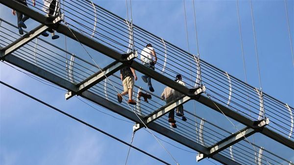 Jembatan Kaca Ini Bisa Tampung 2.600 Orang Sekaligus, Berani Coba?
