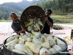 RI Mau Tiru Jurus China Hapus Kemiskinan