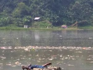 Tiga Hari Hilang, Pasha Ditemukan Tewas Mengambang di Citarum