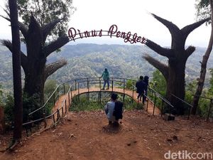 Satu Lagi Hutan Pinus Instagramable di Bantul