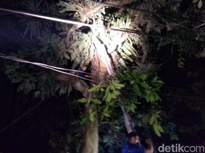 Diduga Depresi Biaya RS, Pria Sukabumi Panjat Pohon 15 Meter