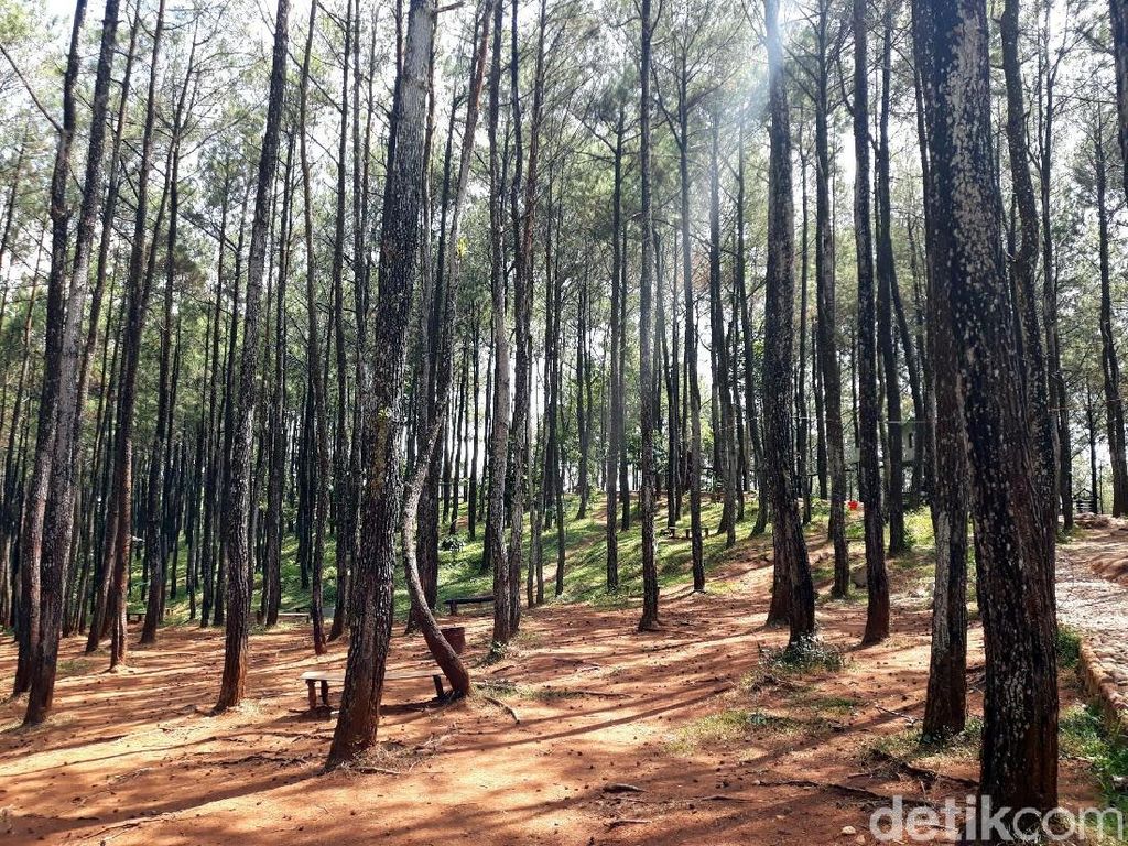 Minggu Kedua Ramadhan, Pengunjung Kawasan Wisata Dlingo Menurun Minggu Kedua Ramadhan, Pengunjung Kawasan Wisata Dlingo Menurun