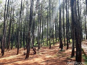 Minggu Kedua Ramadhan, Pengunjung Kawasan Wisata Dlingo Menurun Minggu Kedua Ramadhan, Pengunjung Kawasan Wisata Dlingo Menurun