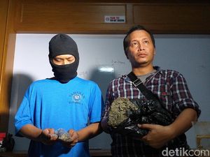 BNNK Surabaya Tangkap Seorang Mahasiswa yang Beli 1 Kg Ganja untuk Lebaran BNNK Surabaya Tangkap Seorang Mahasiswa yang Beli 1 Kg Ganja untuk Lebaran