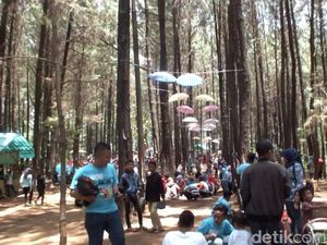 Mudik Lewat Jalur Garut, Banyak Tempat Wisata Menarik Lho!