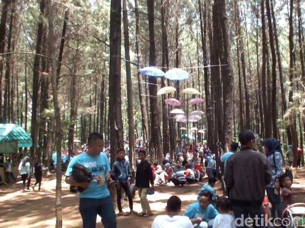 Mudik Lewat Jalur Garut, Banyak Tempat Wisata Menarik Lho! Mudik Lewat Jalur Garut, Banyak Tempat Wisata Menarik Lho!