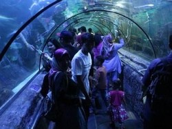 Ngabuburit dan Liburan Seru di Sea World Ancol