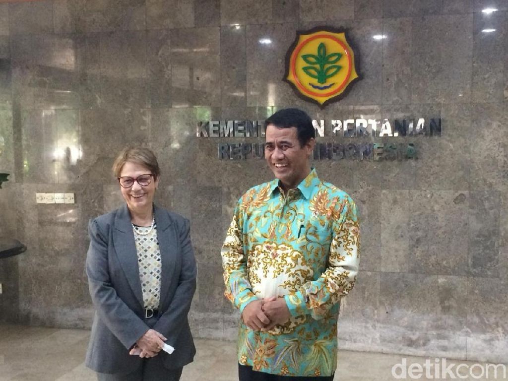 RI Buka Peluang Impor Daging Sapi Brasil RI Buka Peluang Impor Daging Sapi Brasil