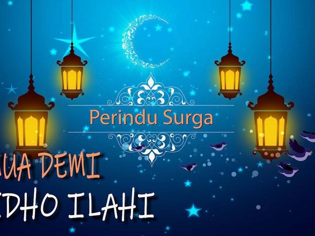 Kisah Ustaz Bule Mencari Berkah di Negeri Kangguru Kisah Ustaz Bule Mencari Berkah di Negeri Kangguru