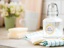 Hati-hati! Jangan Sembarangan Pakai Cuka pada Alat Elektronik