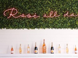 Perusahaan Ini Rela Membayar Rp 145 Juta Hanya Untuk Minum Wine