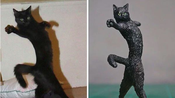 Gemas! Ketika Meme Hewan Dijadikan Karya Patung 3D