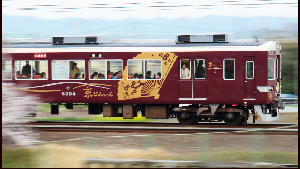 Foto: Kereta Bergaya Rumah Tradisional Jepang