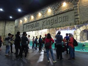 Libur Lebaran, Saatnya Main Bareng Penguin di Ocean Dream Samudra